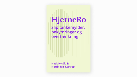 HjerneRo bogcover